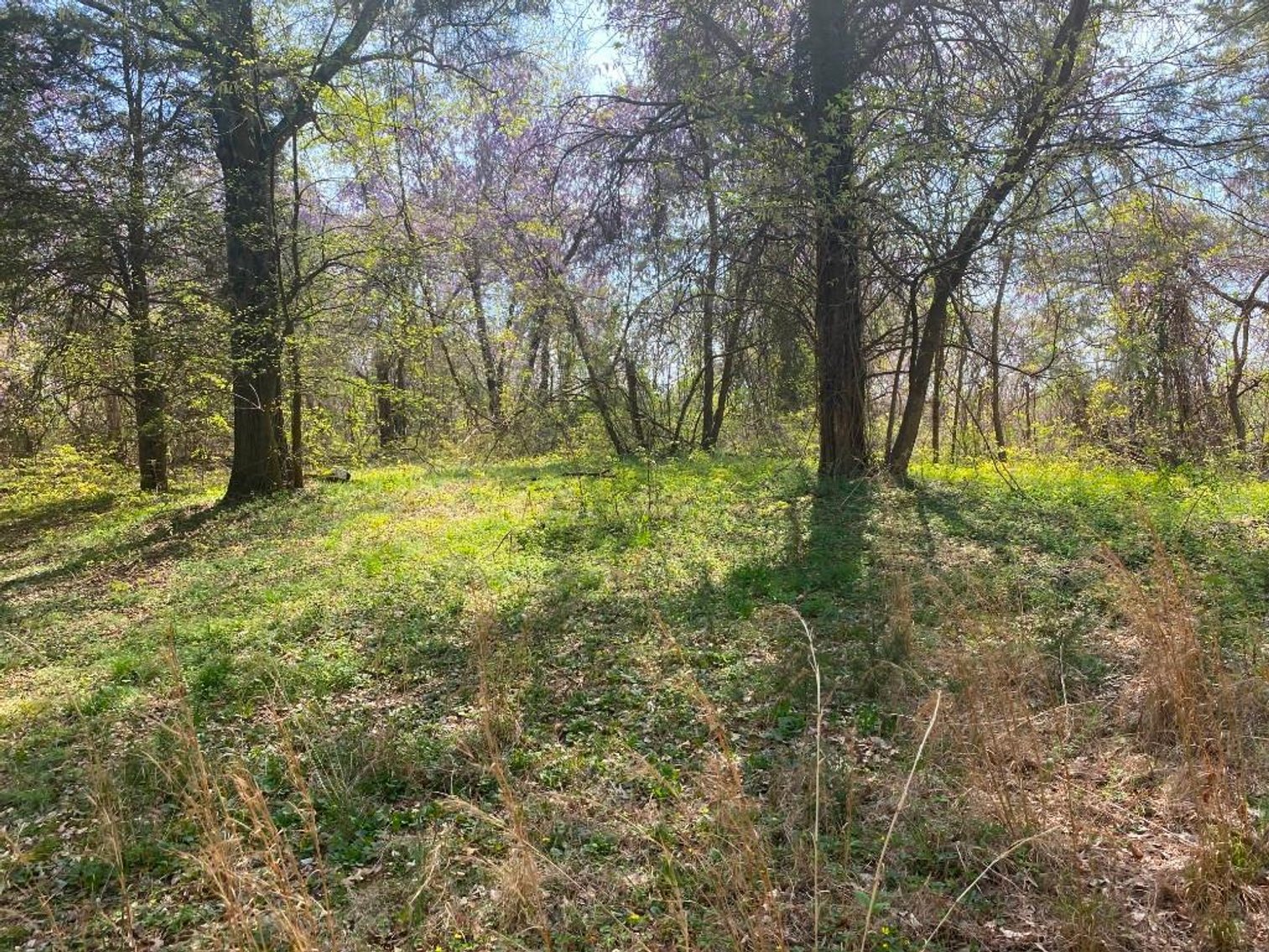 Image for Bankruptcy Auction - Concord, NC - Commercial/Res ±7.28 Acres