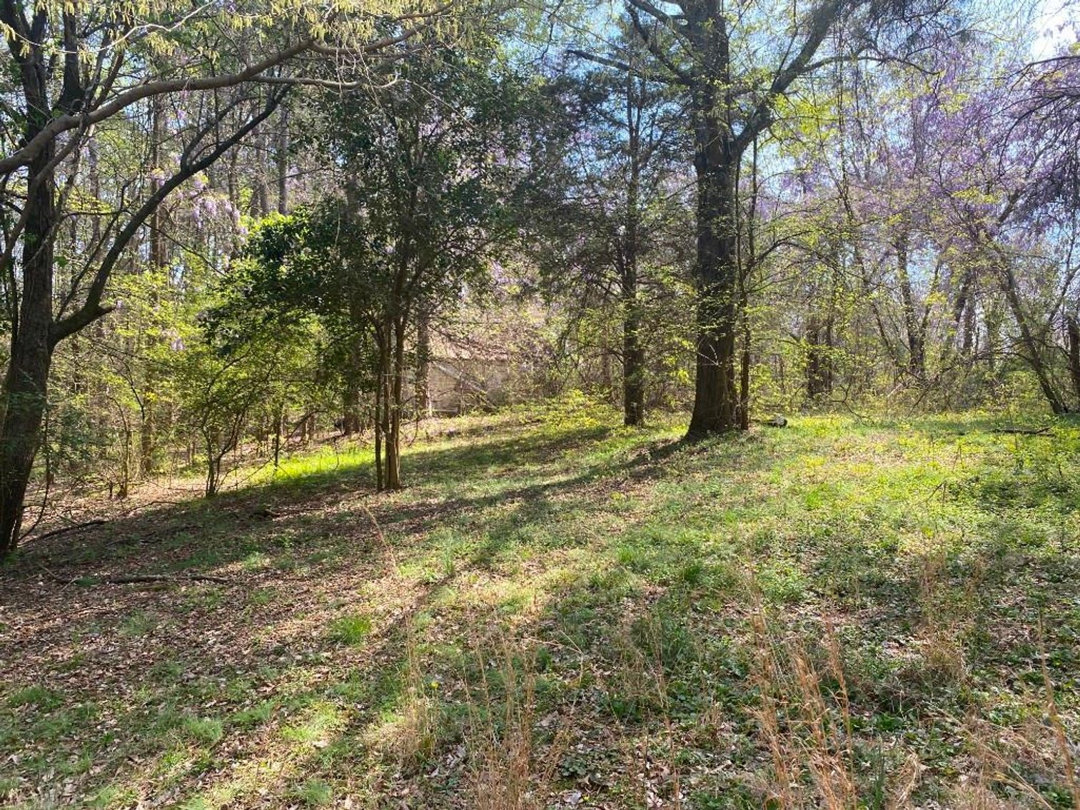 Image for Bankruptcy Auction - Concord, NC - Commercial/Res ±7.28 Acres