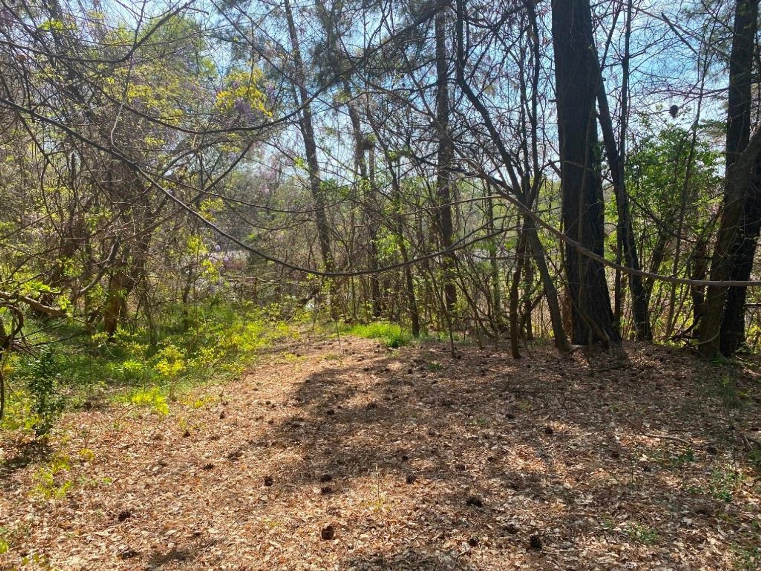 Image for Bankruptcy Auction - Concord, NC - Commercial/Res ±7.28 Acres