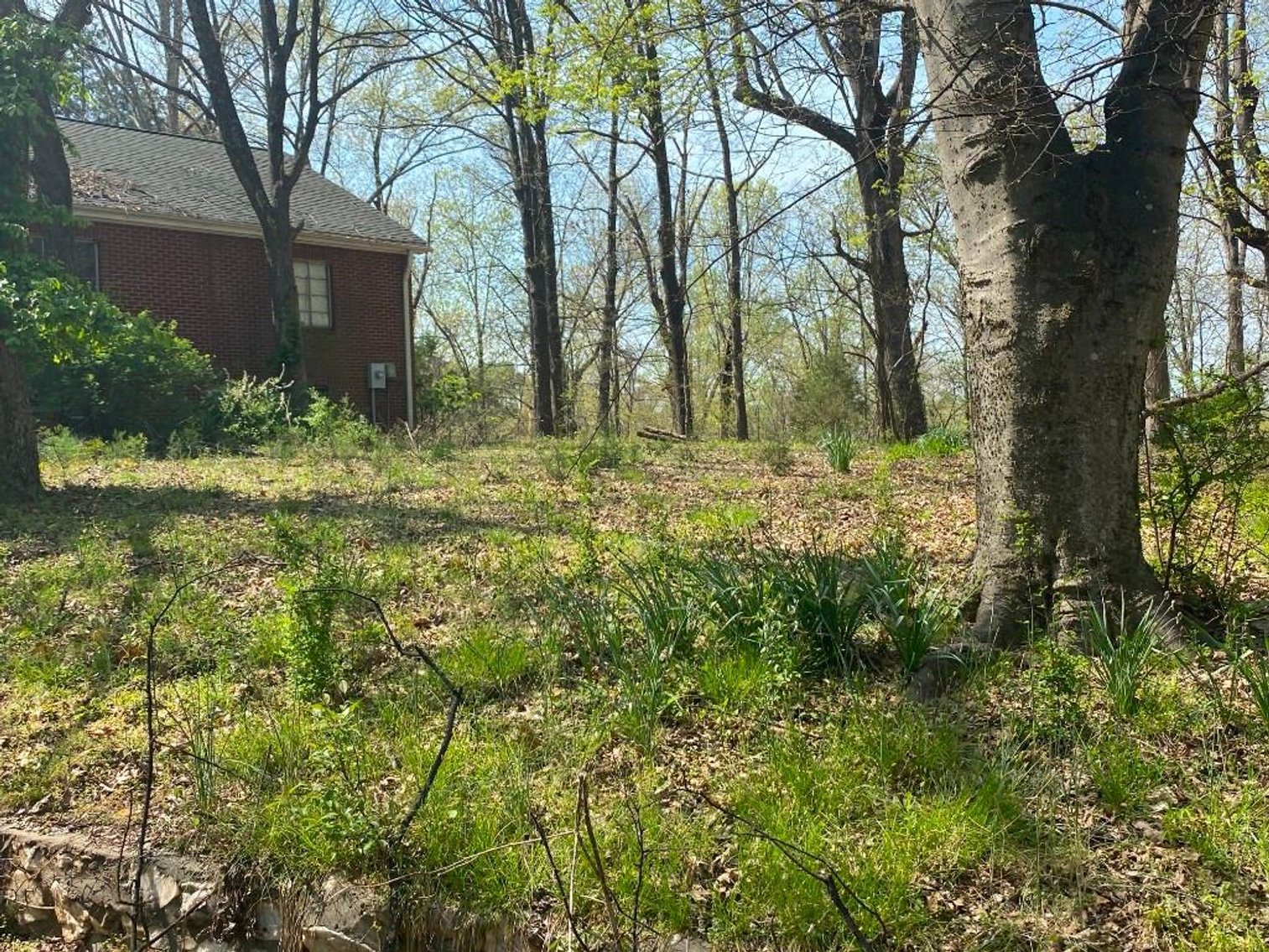 Image for Bankruptcy Auction - Concord, NC - Commercial/Res ±7.28 Acres