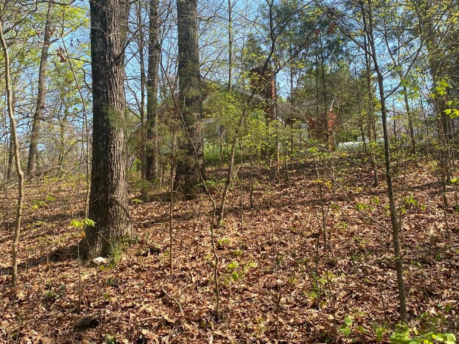 Image for Bankruptcy Auction - Concord, NC - Commercial/Res ±7.28 Acres