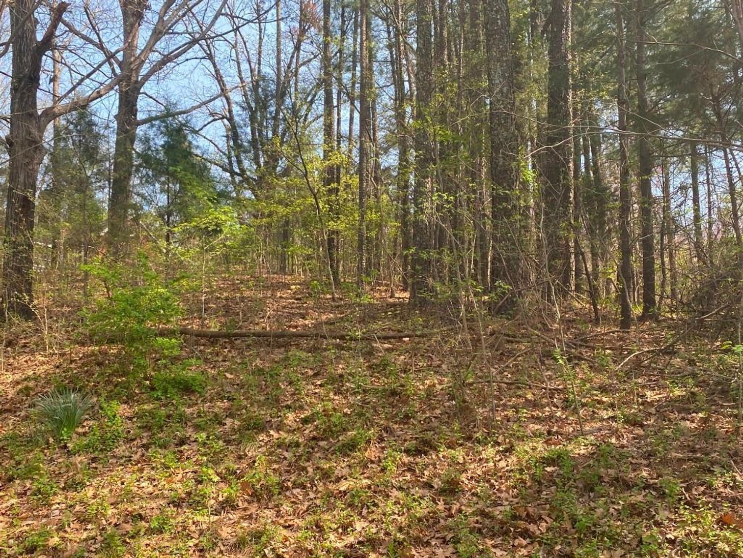 Image for Bankruptcy Auction - Concord, NC - Commercial/Res ±7.28 Acres