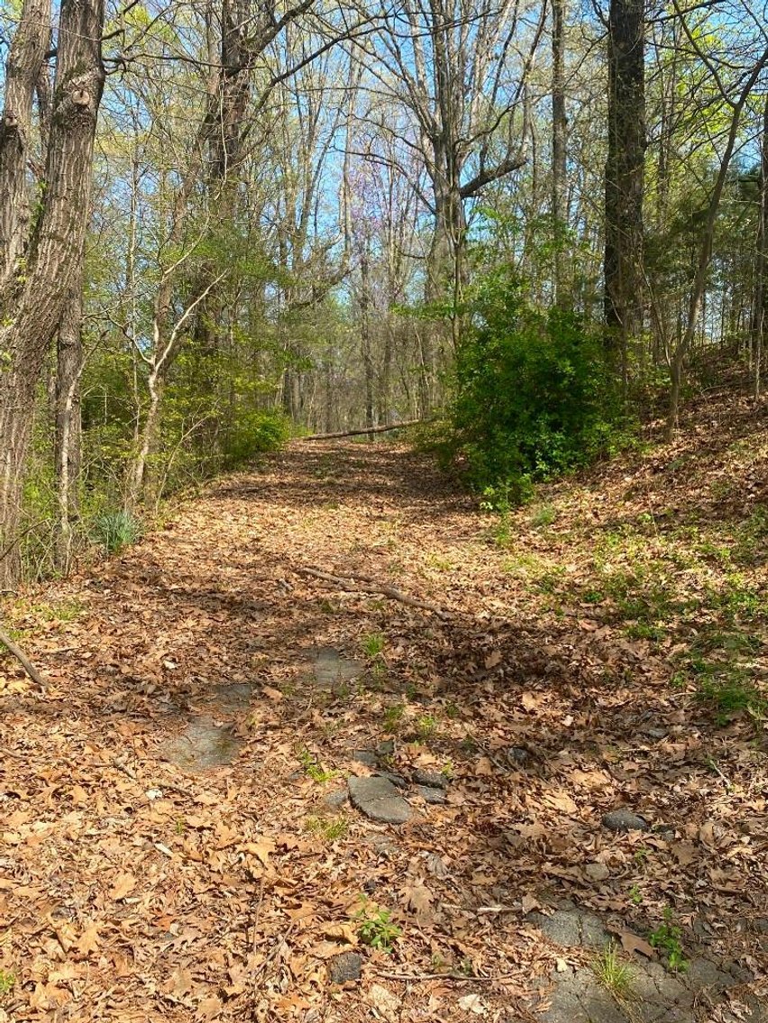 Image for Bankruptcy Auction - Concord, NC - Commercial/Res ±7.28 Acres