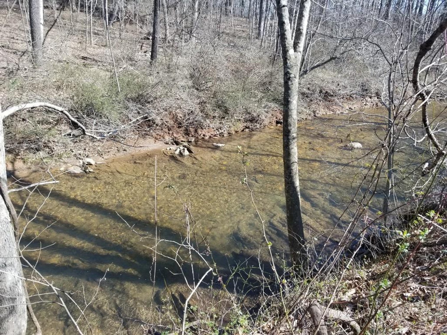 Image for Multi-Property Auction - Patrick & Henry Co., VA and Surry Co., NC