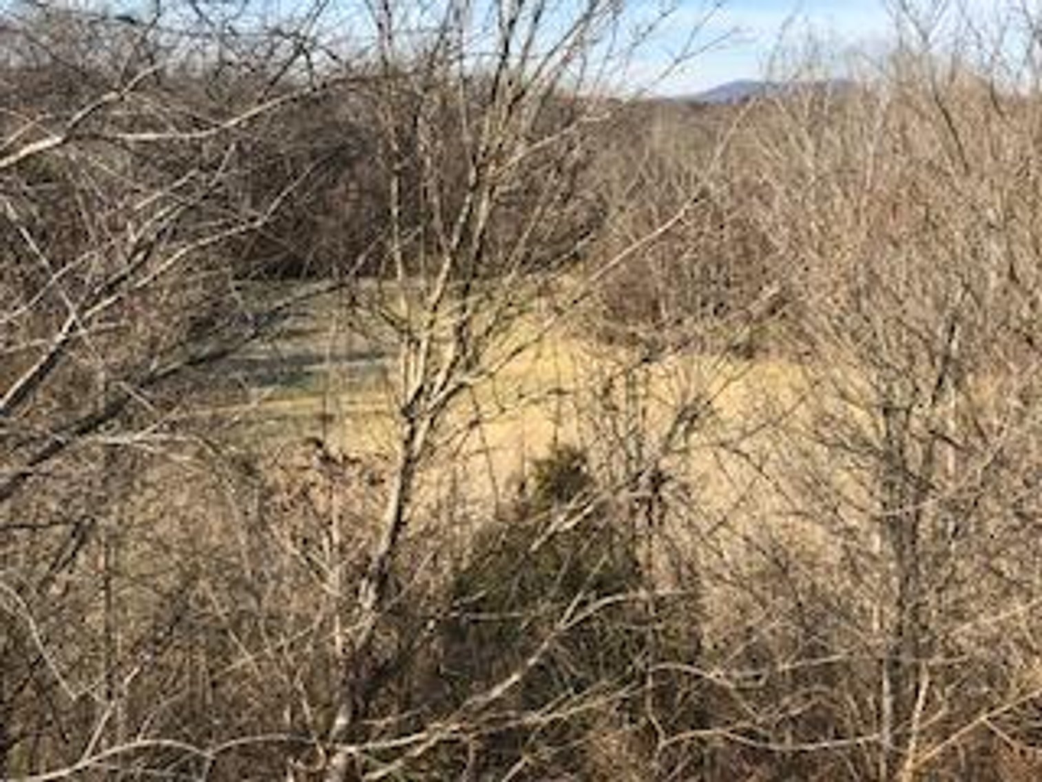 Image for NCDOT Residue Real Estate