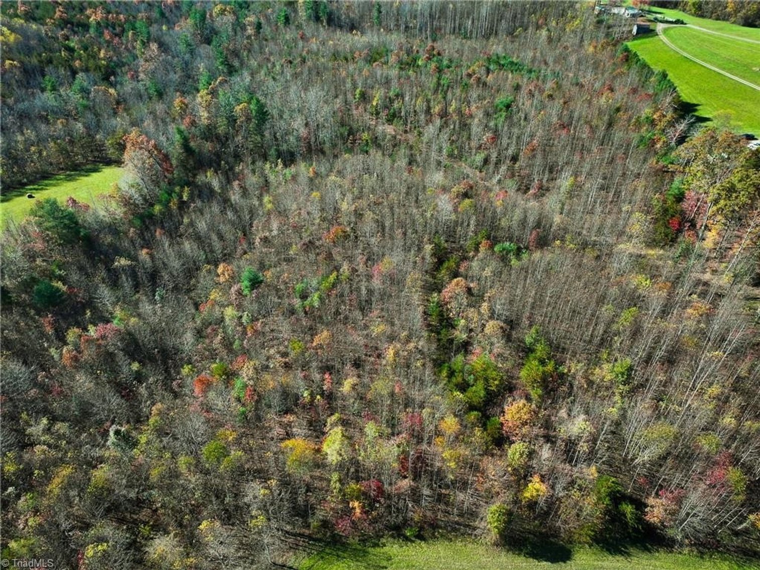 Image for Land For Sale in Mount Airy- 000 Sparger Road