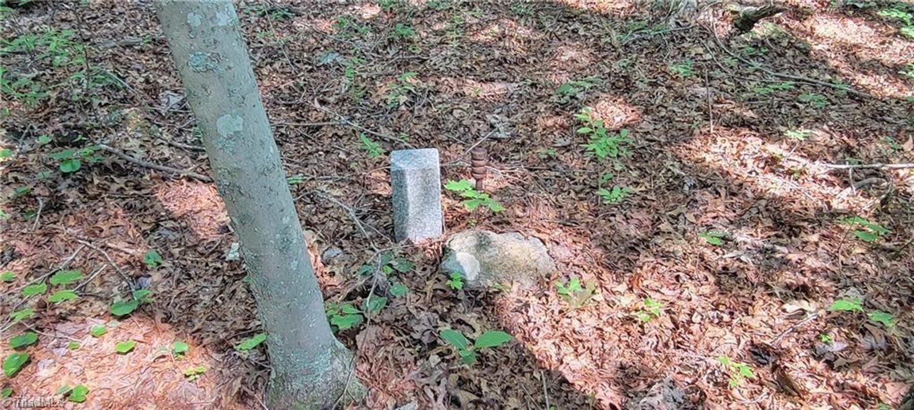 Image for Land for Sale in Mount Airy - 00 E Pine Street