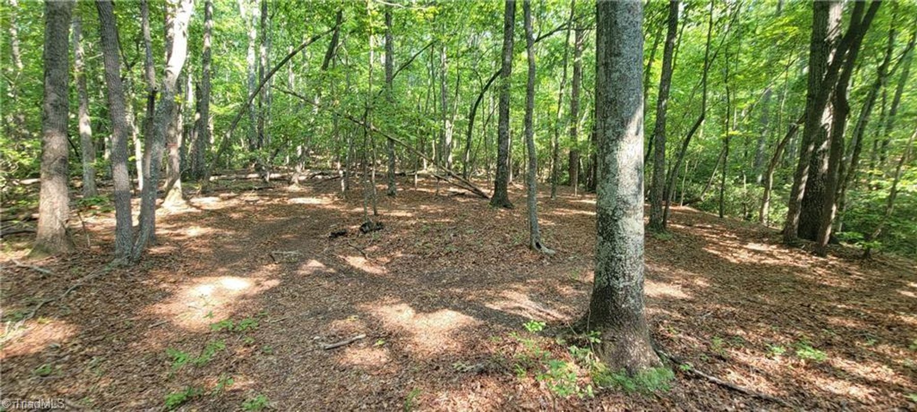Image for Land for Sale in Mount Airy - 00 E Pine Street
