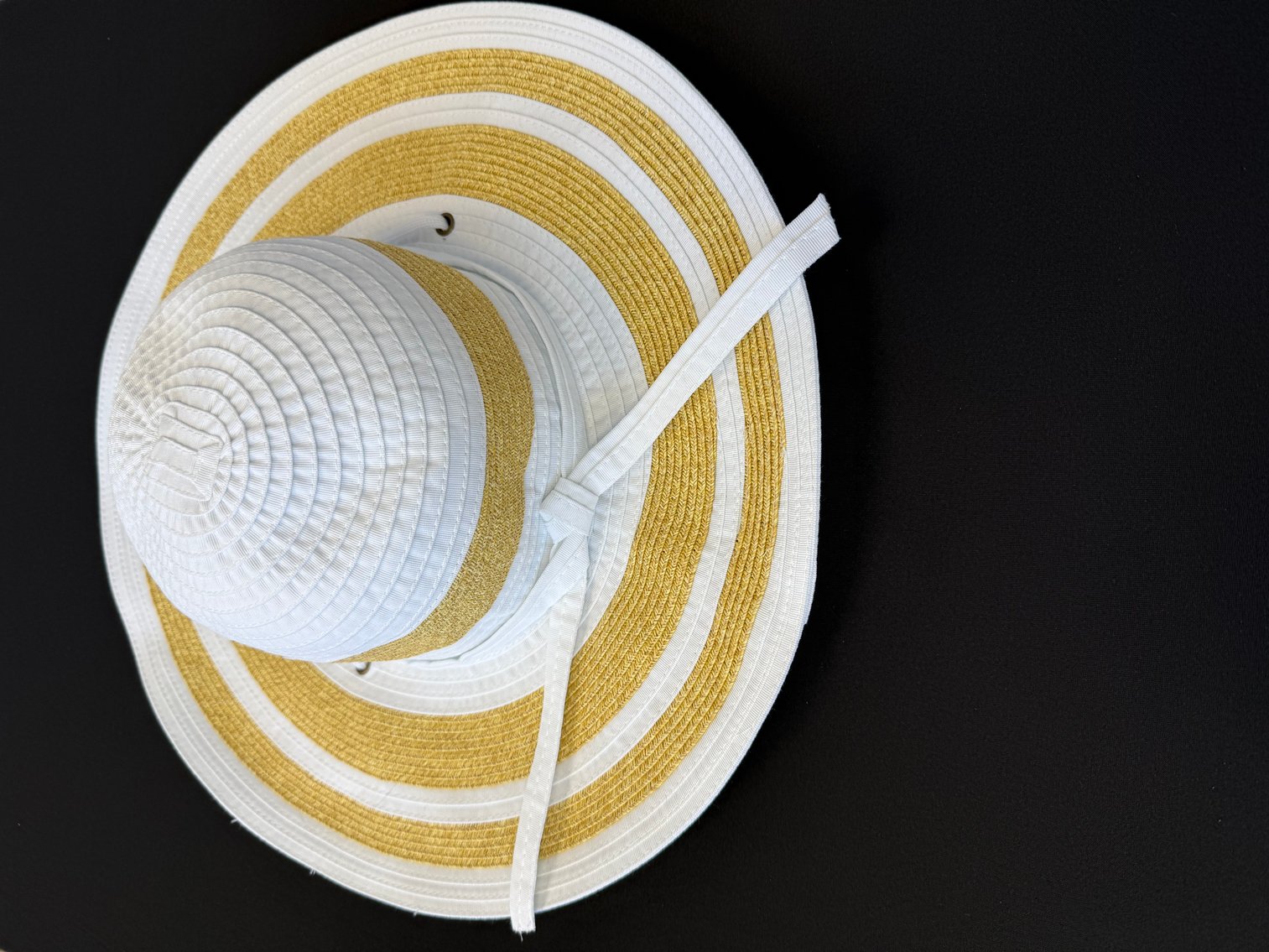 Image for Arts Ball 2025 Online Auction Fundraiser