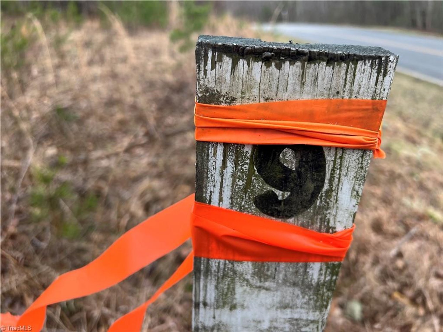 Image for Land For Sale in Dobson - Lot# 15, Fisher Valley Road