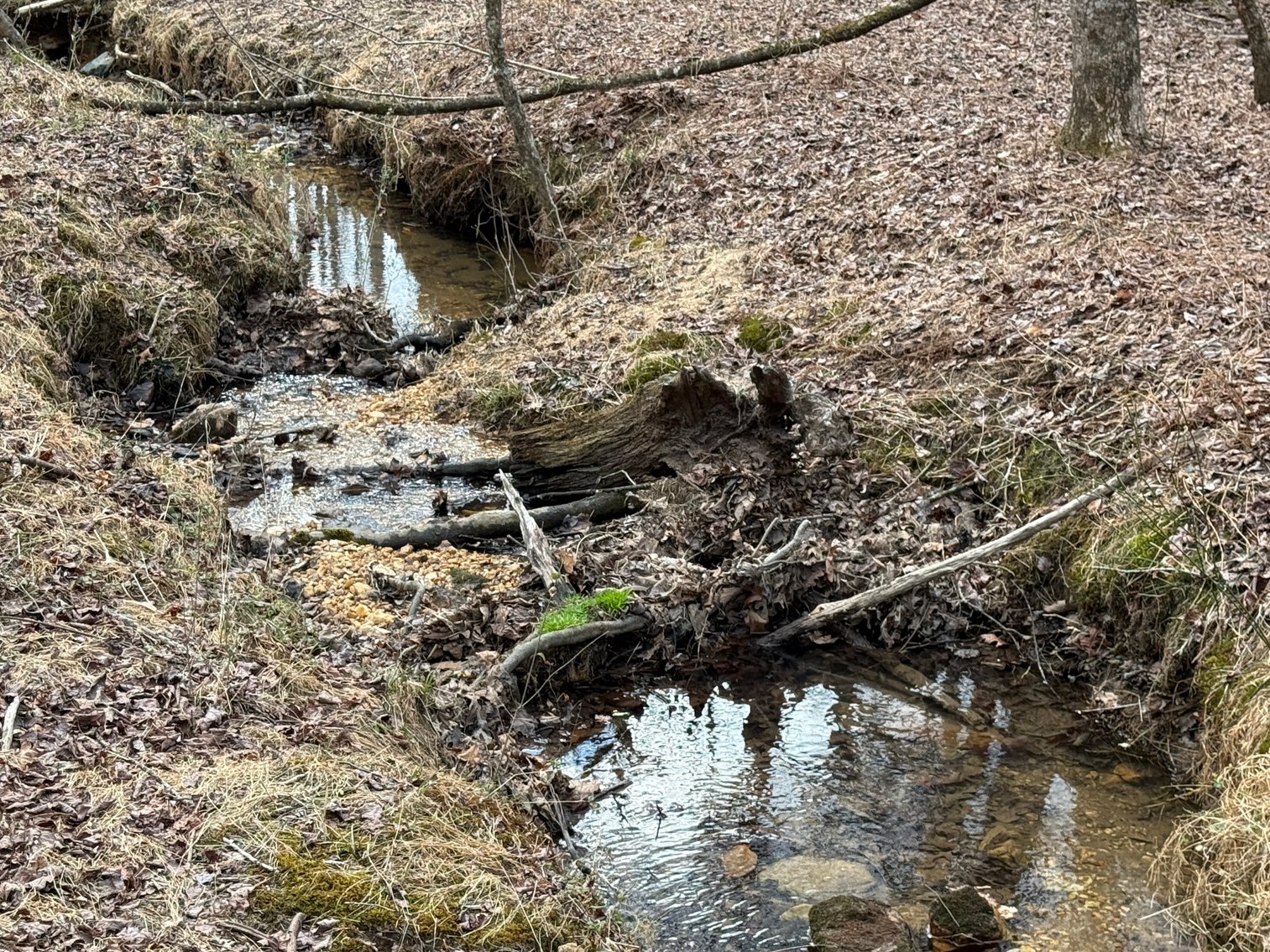 Image for 119± Acre Land Auction