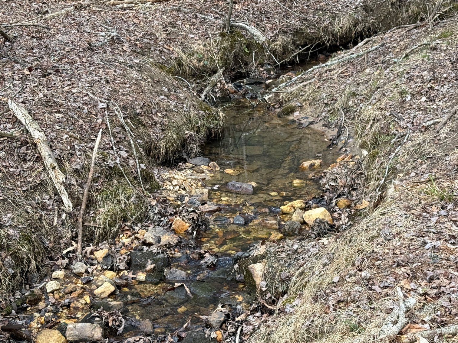 Image for 119± Acre Land Auction