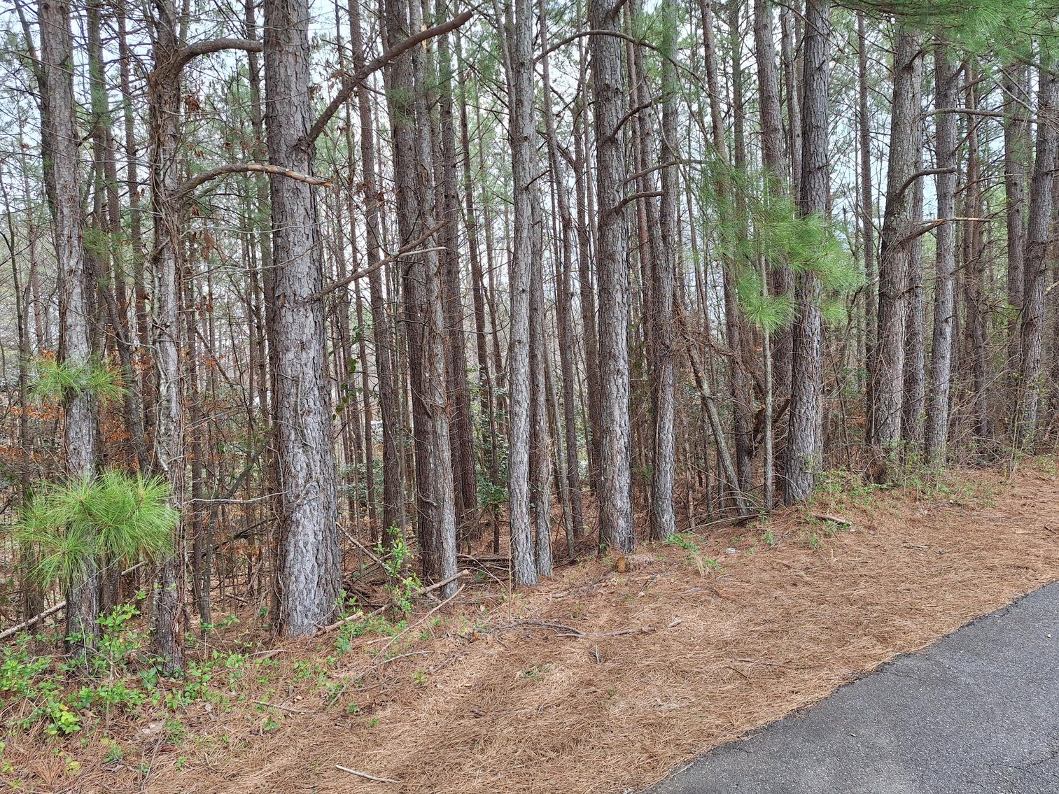 Image for Six Land Parcels in Granite Falls, NC