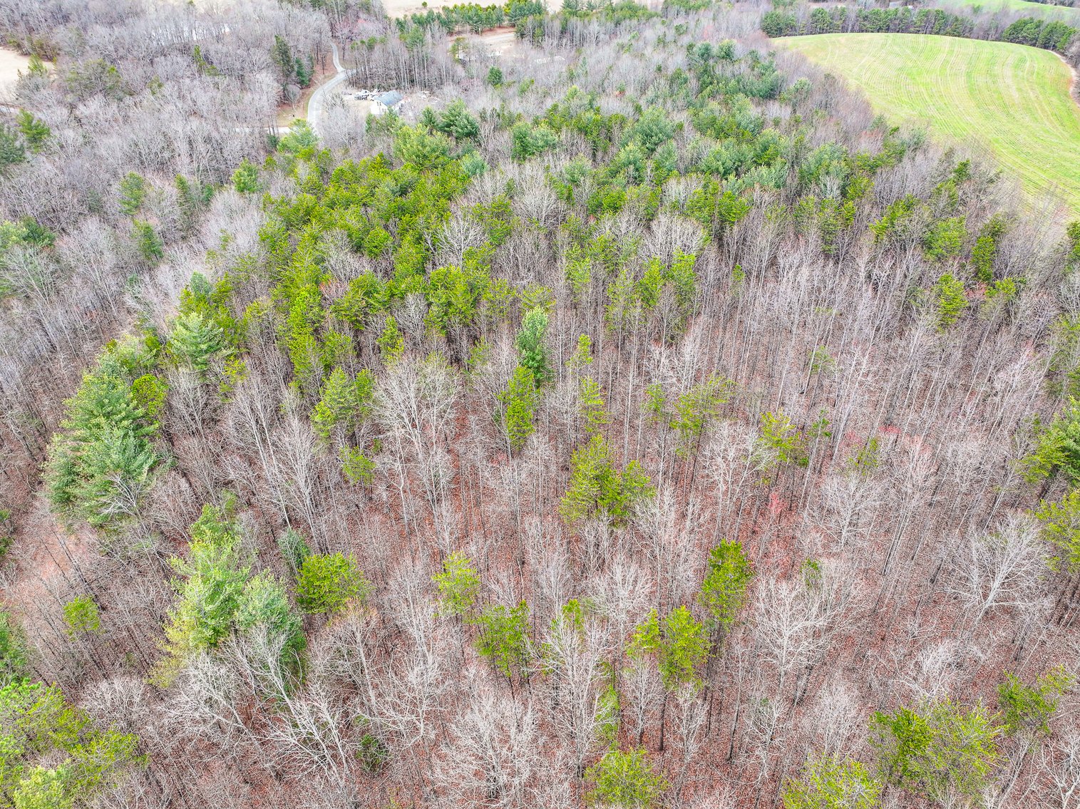 Image for Land For Sale in Dobson - Lot# 10, Fisher Valley Road