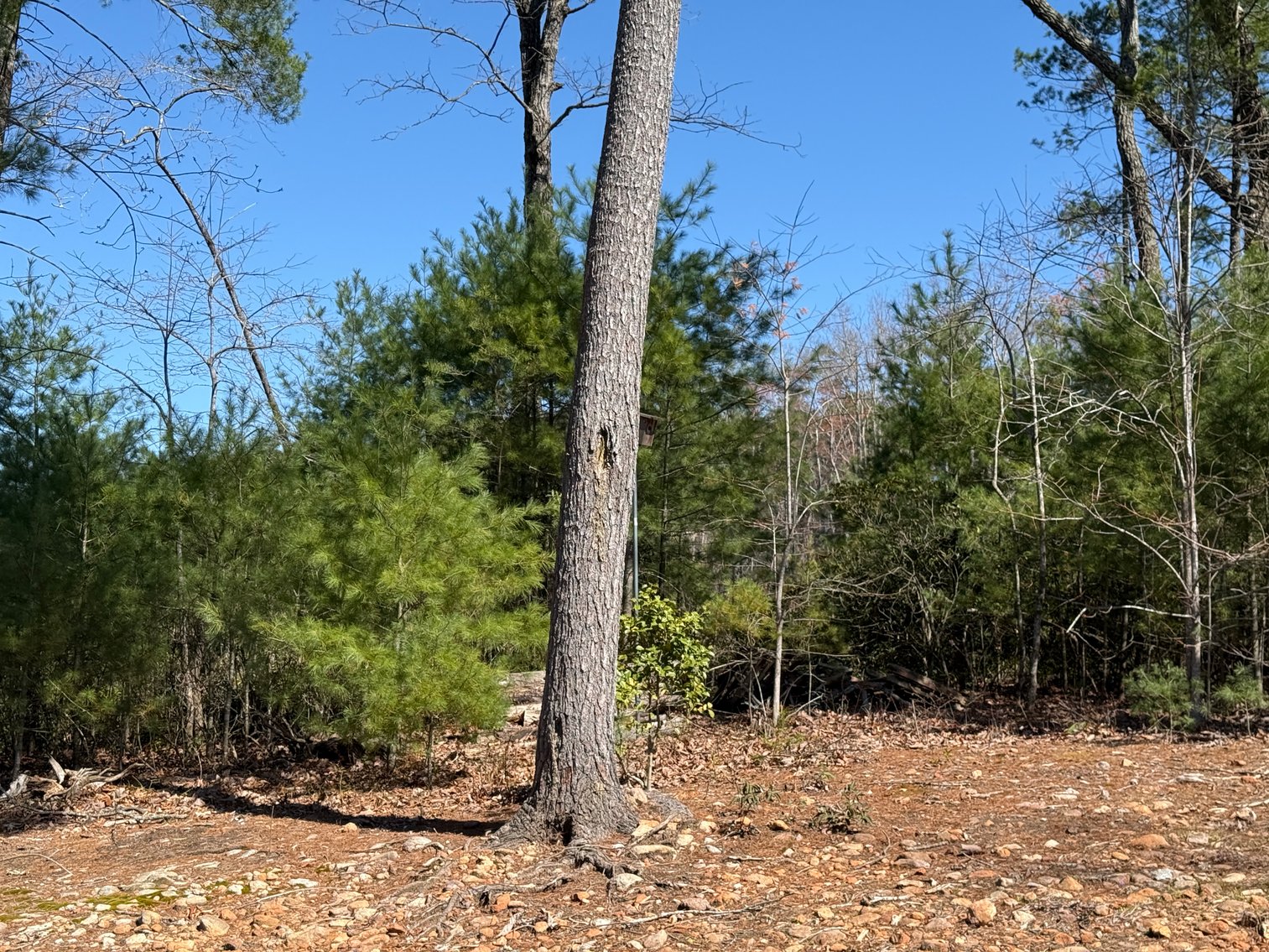 Image for Secluded Mountain View Escape Auction