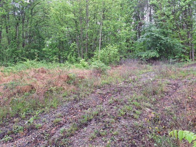 Commissioner's Sale: 3843 W. Pine Street, Mount Airy, NC