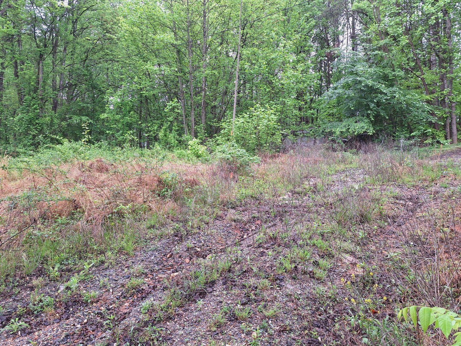 Image for Commissioner's Sale: 3843 W. Pine Street, Mount Airy, NC