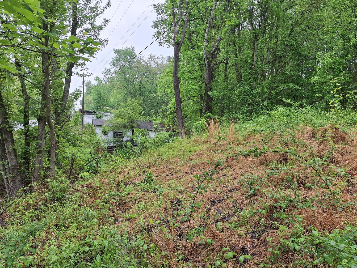 Image for Commissioner's Sale: 3843 W. Pine Street, Mount Airy, NC