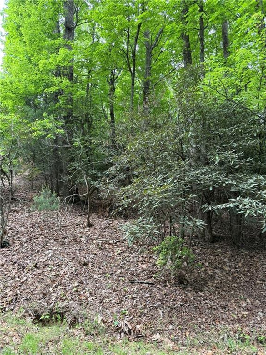 Image for Land For Sale in Lowgap - Lot 35, Baldwin Drive