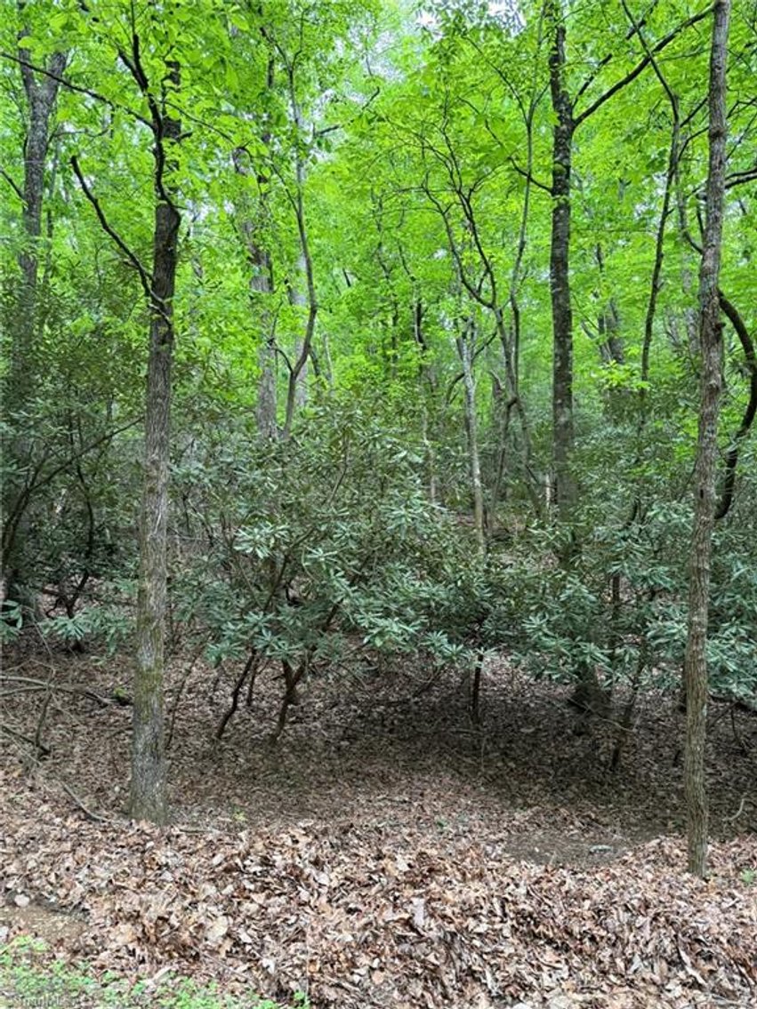 Image for Land For Sale in Lowgap - Lot 35, Baldwin Drive