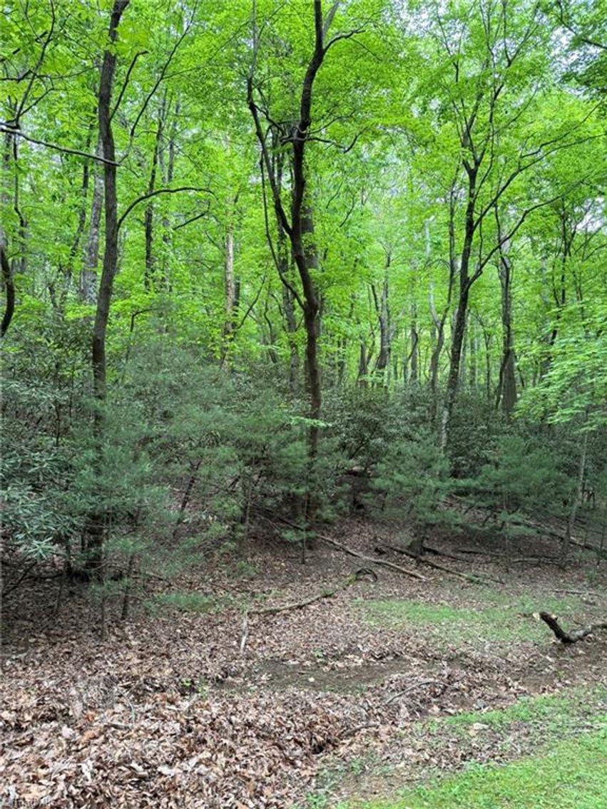 Image for Land For Sale in Lowgap - Lot 35, Baldwin Drive