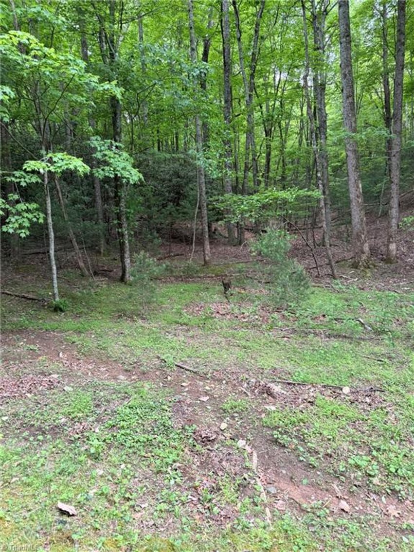 Image for Land For Sale in Lowgap - Lot 35, Baldwin Drive