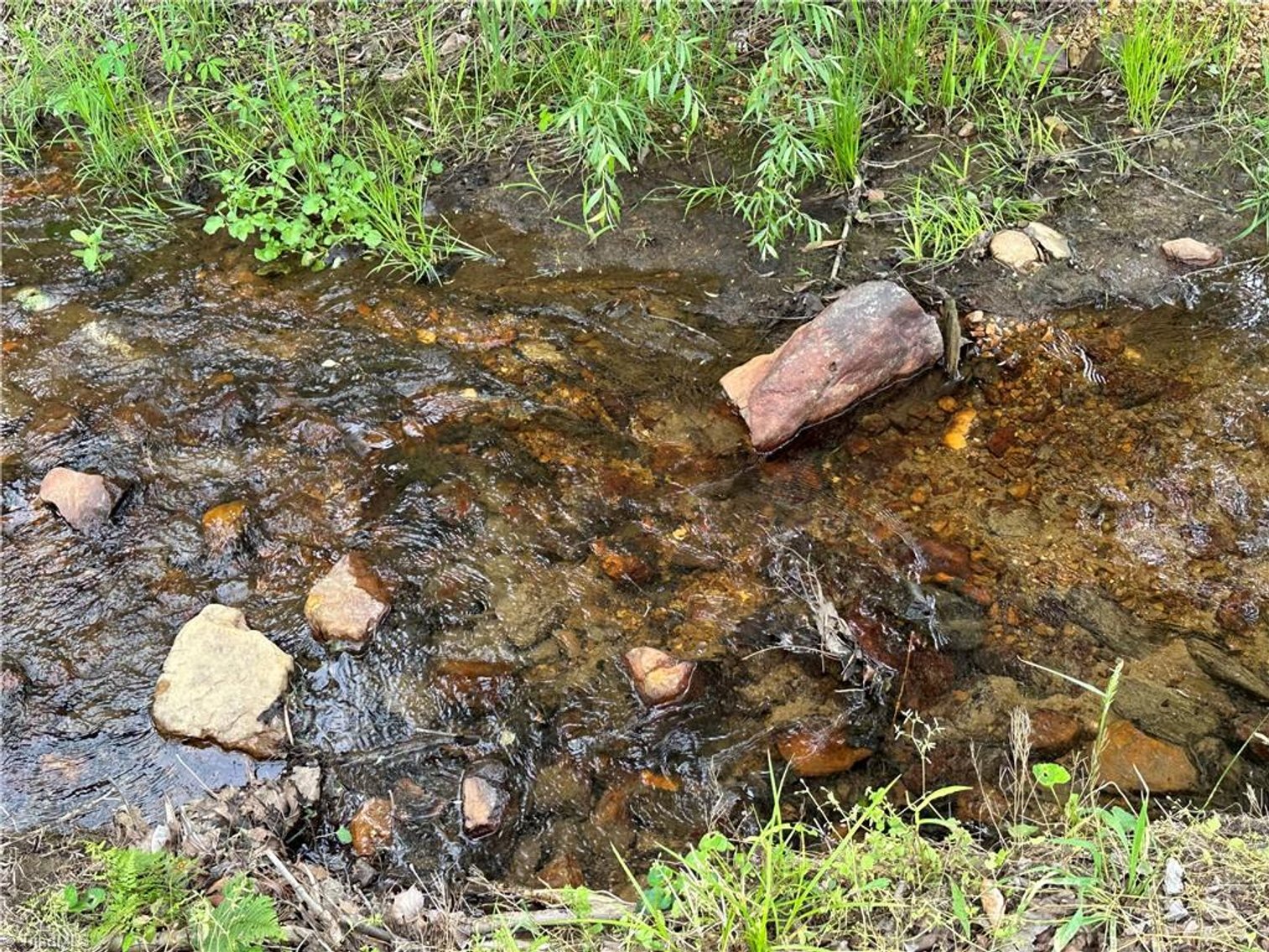 Image for Home For Sale in Mount Airy - 813 Blevins Store Road