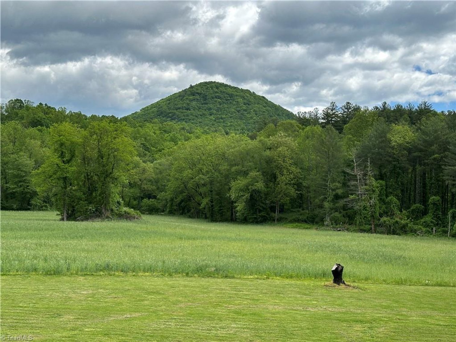 Image for Home For Sale in Mount Airy - 813 Blevins Store Road