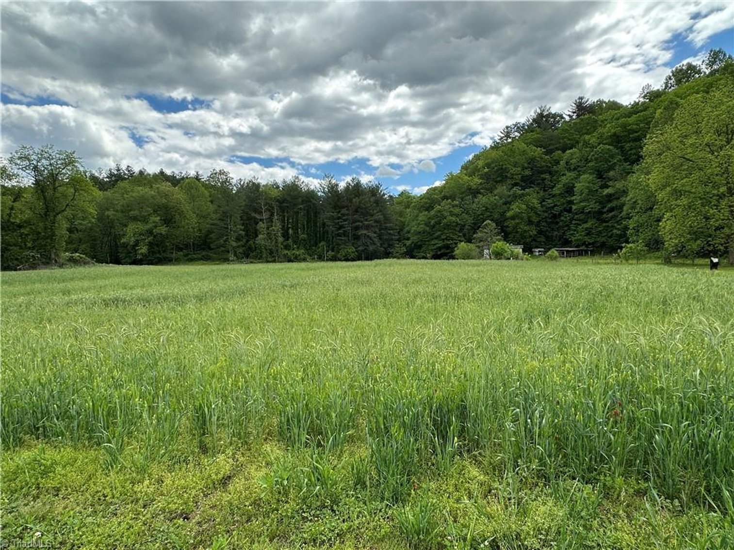 Image for Home For Sale in Mount Airy - 813 Blevins Store Road