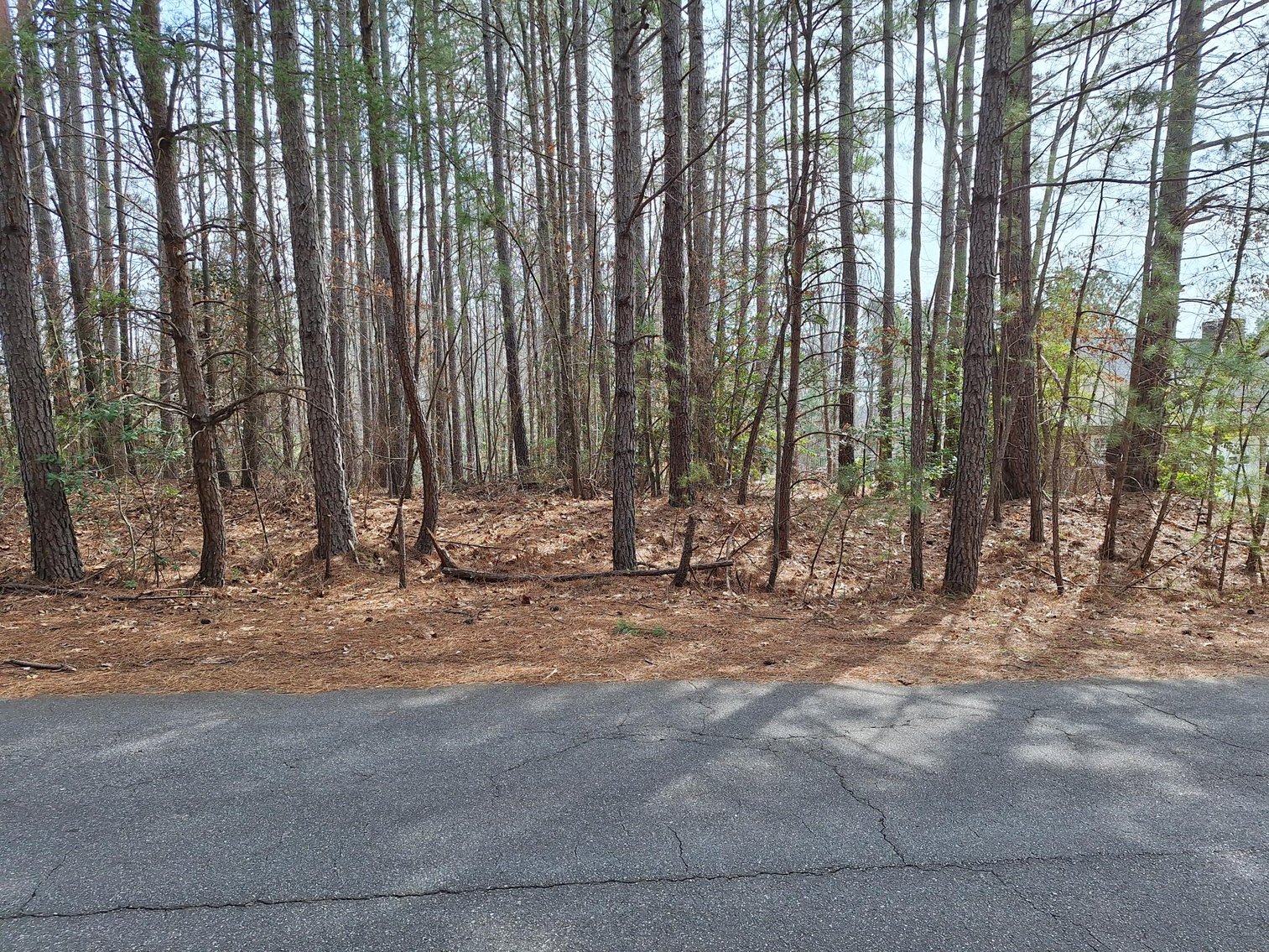 Image for Land Parcel in Granite Falls, NC