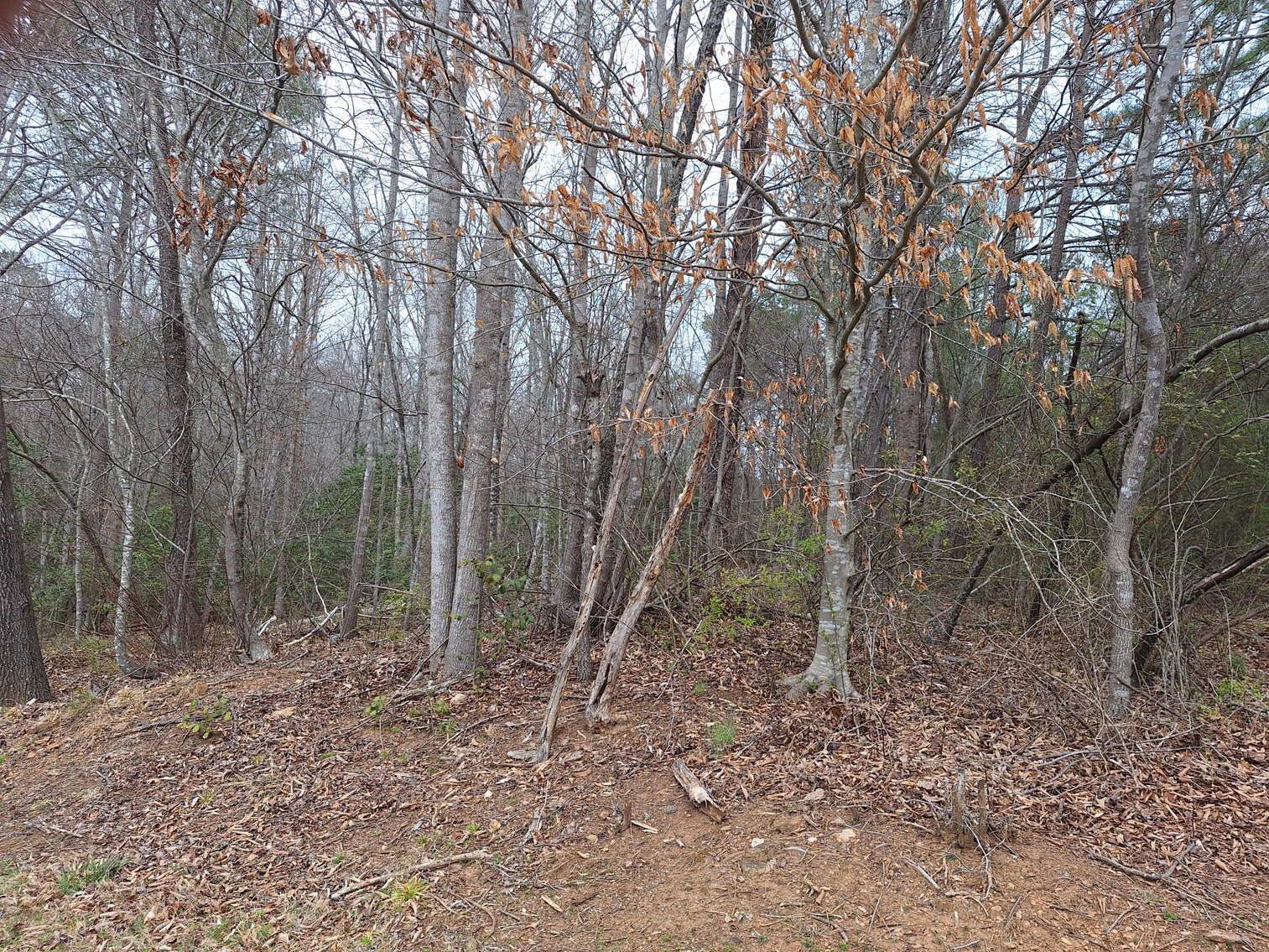 Image for Land Parcel in Granite Falls, NC
