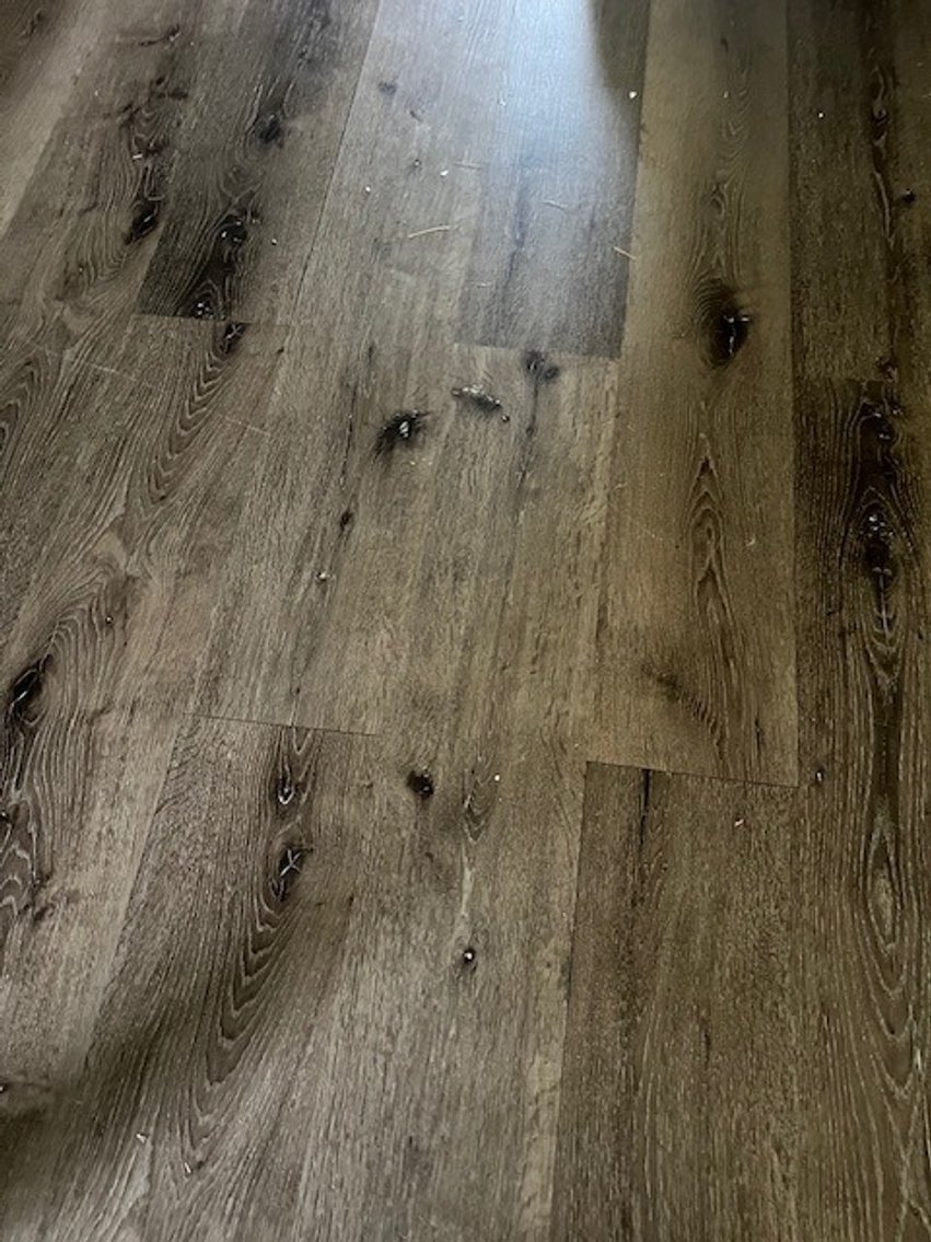 Image for Bankruptcy Liquidation by Daniel C. Bruton, Bankruptcy Trustee, Case #25-50103 - Double Wide Home in Tobaccoville