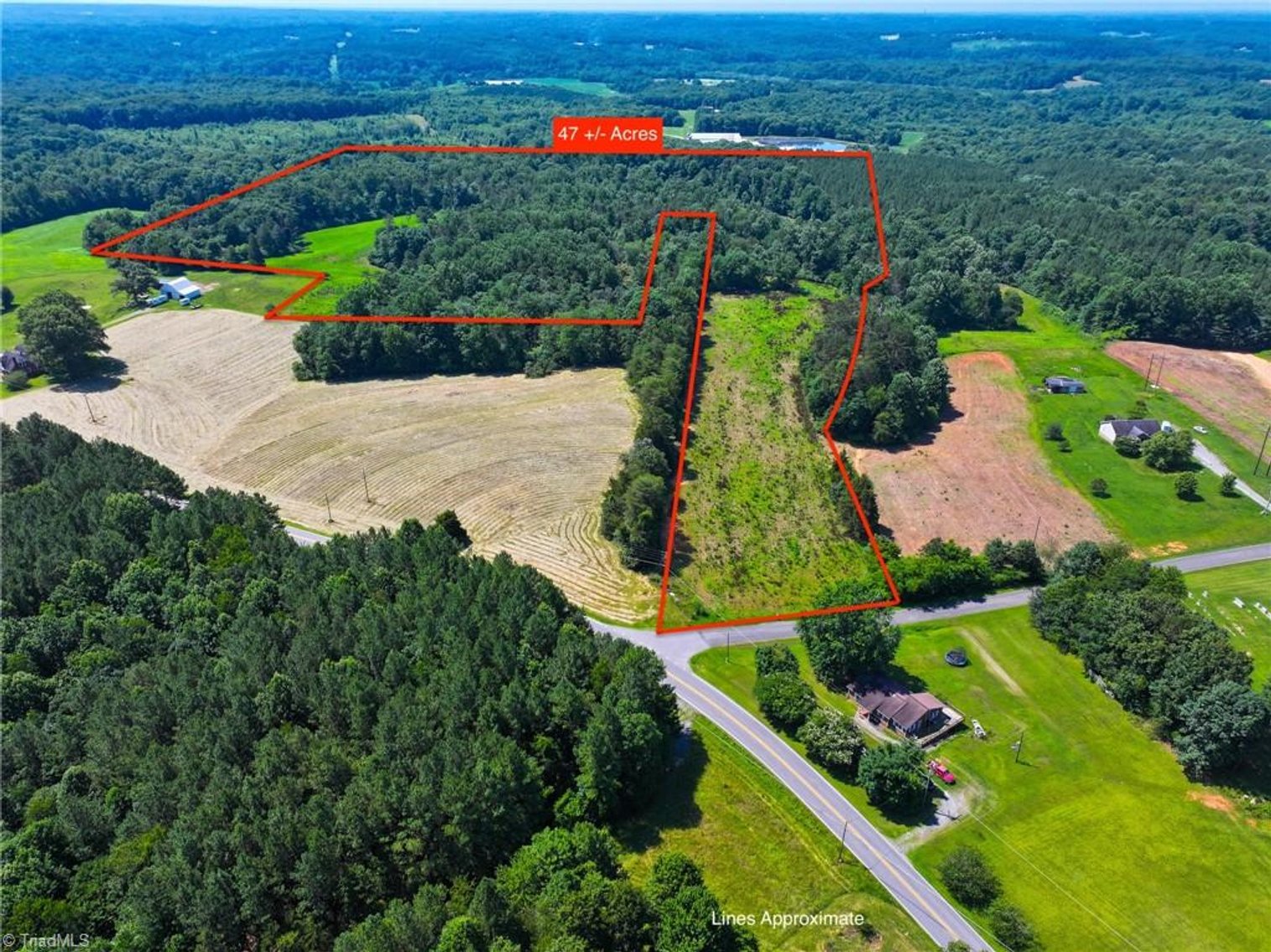 Image for 47± Acres in Siloam, NC – Land Auction