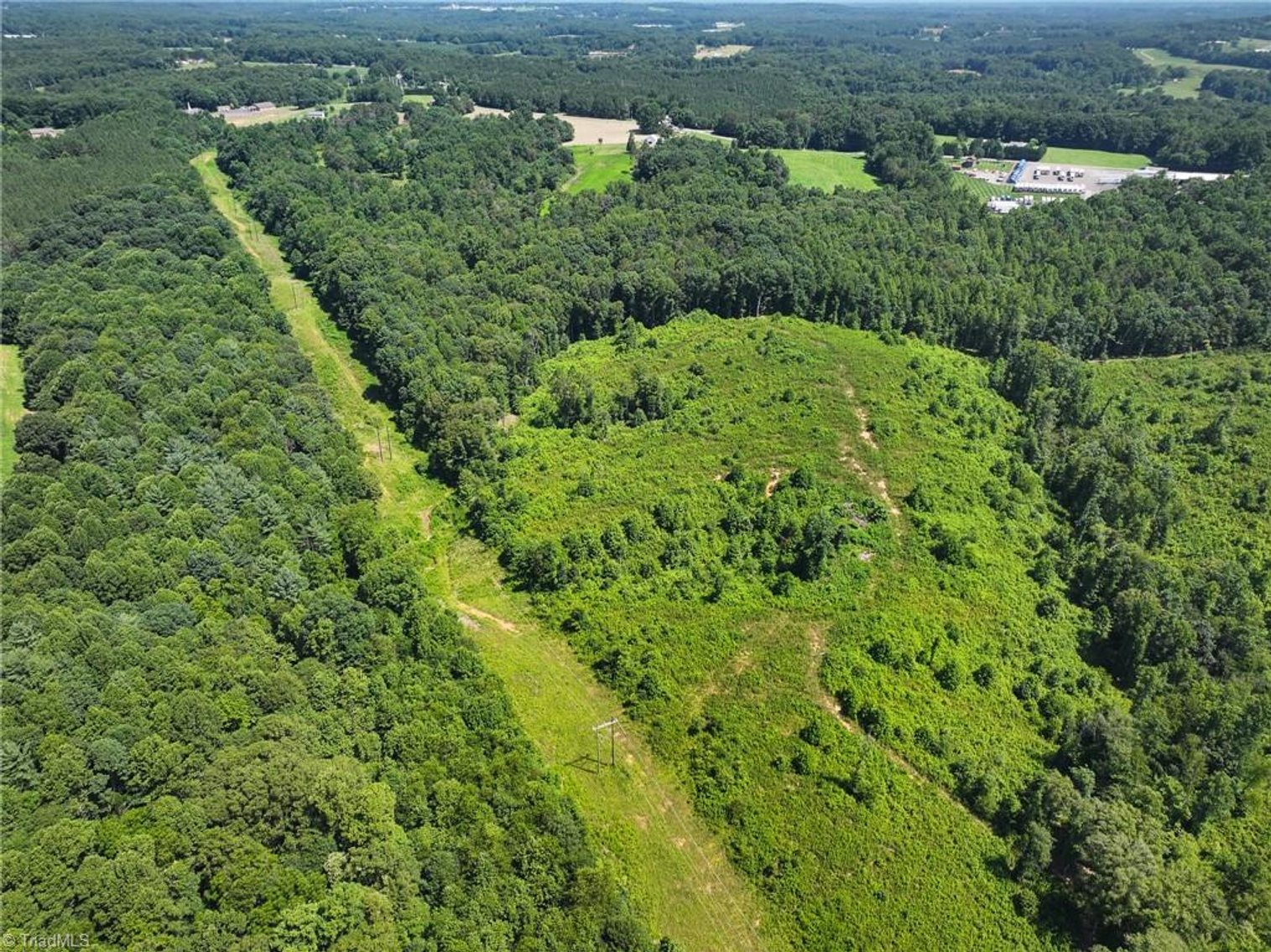 Image for 47± Acres in Siloam, NC – Land Auction