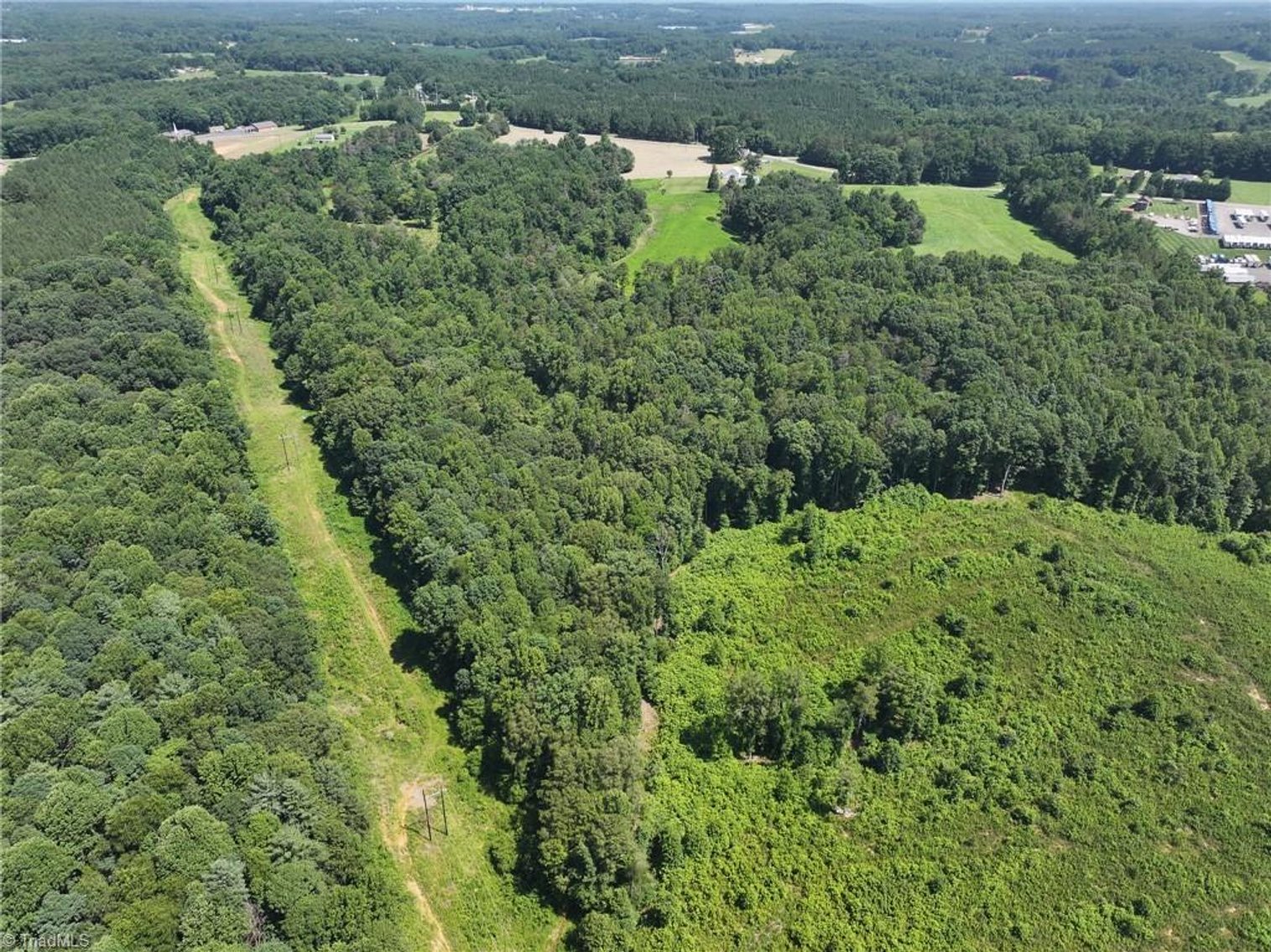 Image for 47± Acres in Siloam, NC – Land Auction