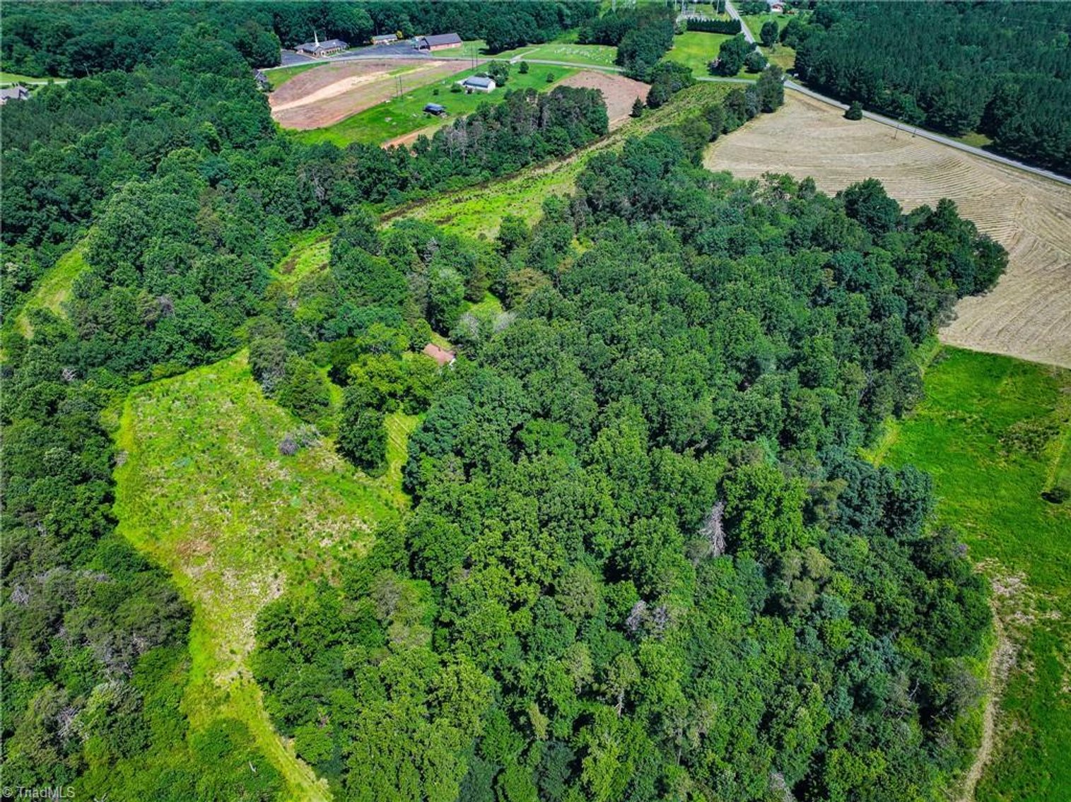 Image for 47± Acres in Siloam, NC – Land Auction