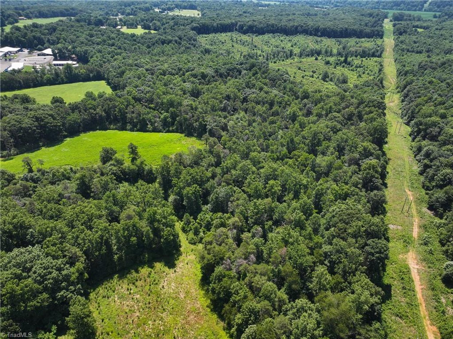 Image for 47± Acres in Siloam, NC – Land Auction