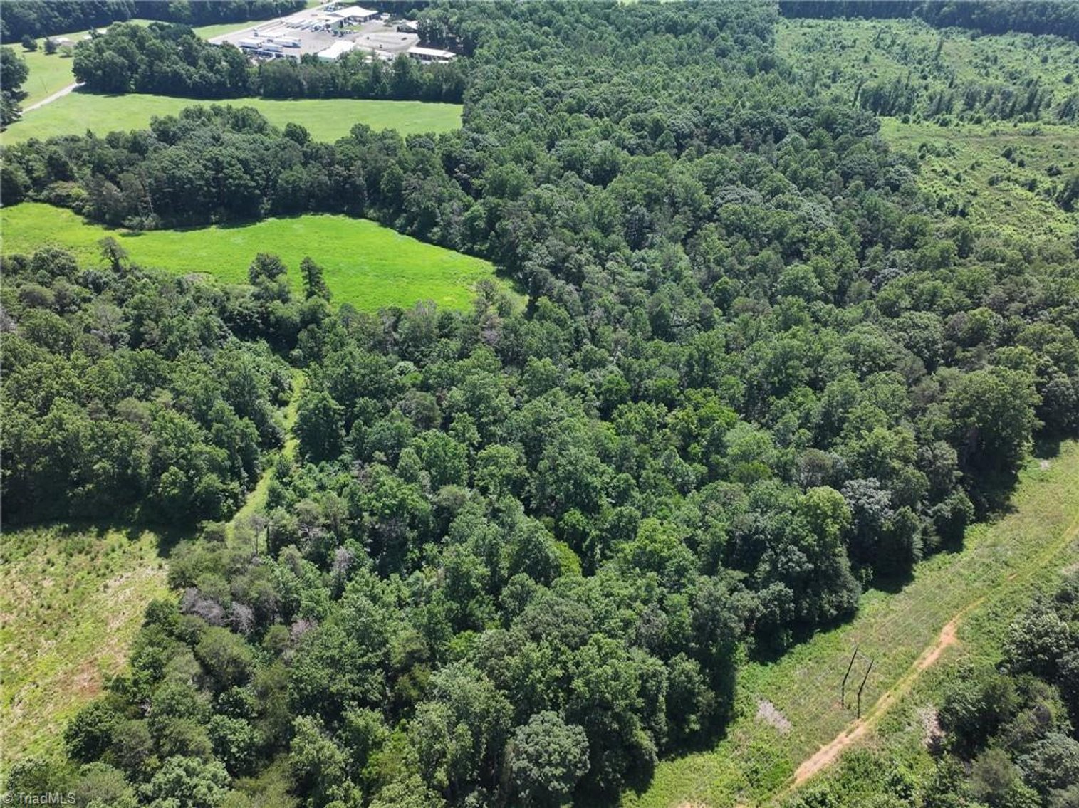 Image for 47± Acres in Siloam, NC – Land Auction