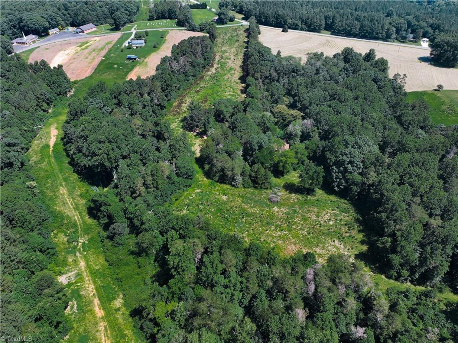 Image for 47± Acres in Siloam, NC – Land Auction