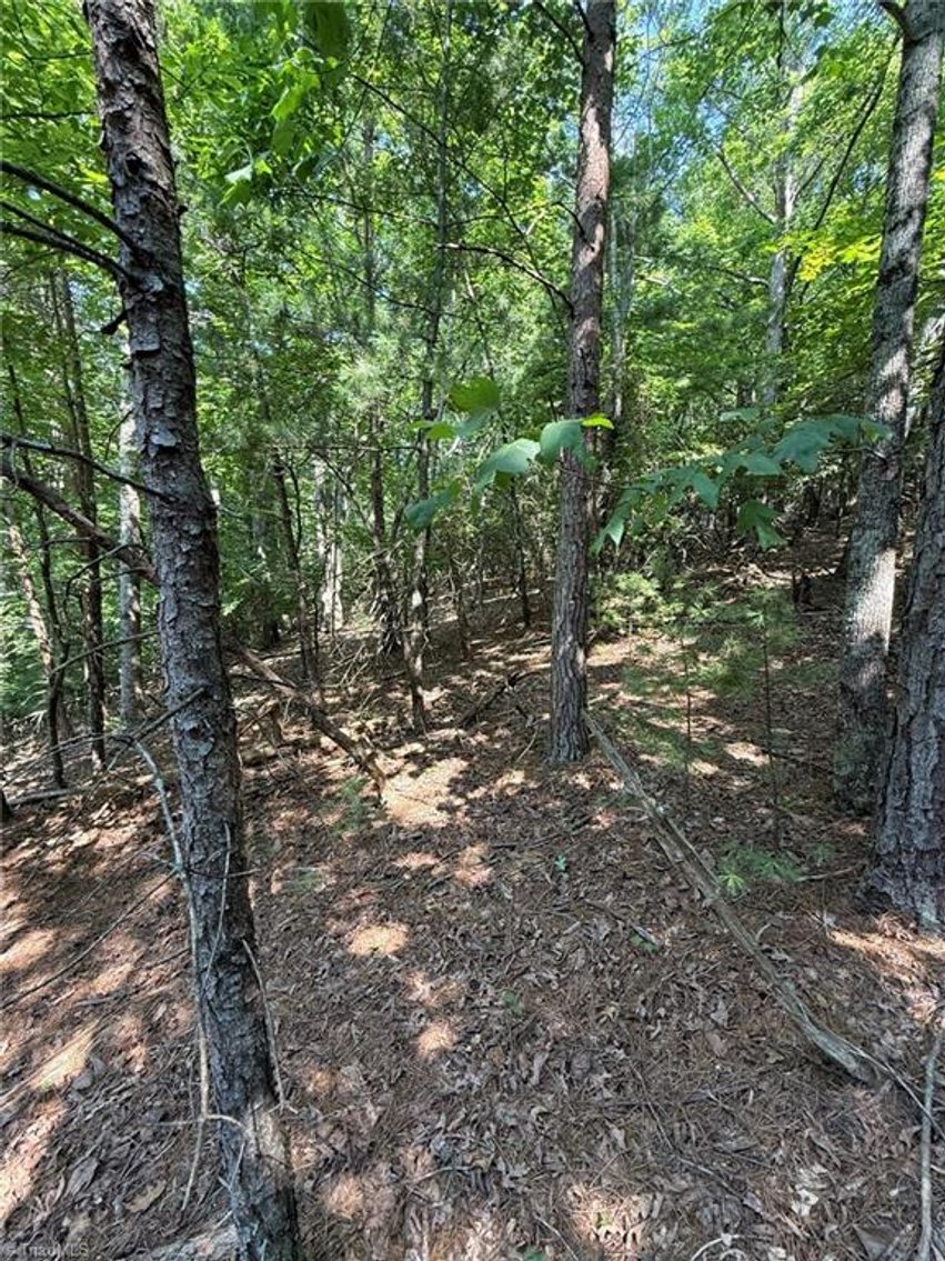 Image for Lot For Sale in Lowgap - Lot# 33 Jonathan Drive