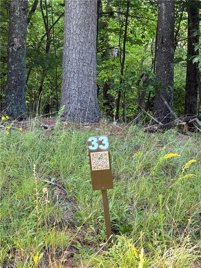 Image for Lot For Sale in Lowgap - Lot# 33 Jonathan Drive