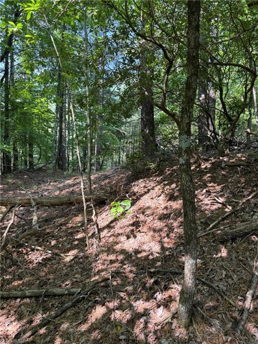 Image for Lot For Sale in Lowgap - Lot# 33 Jonathan Drive