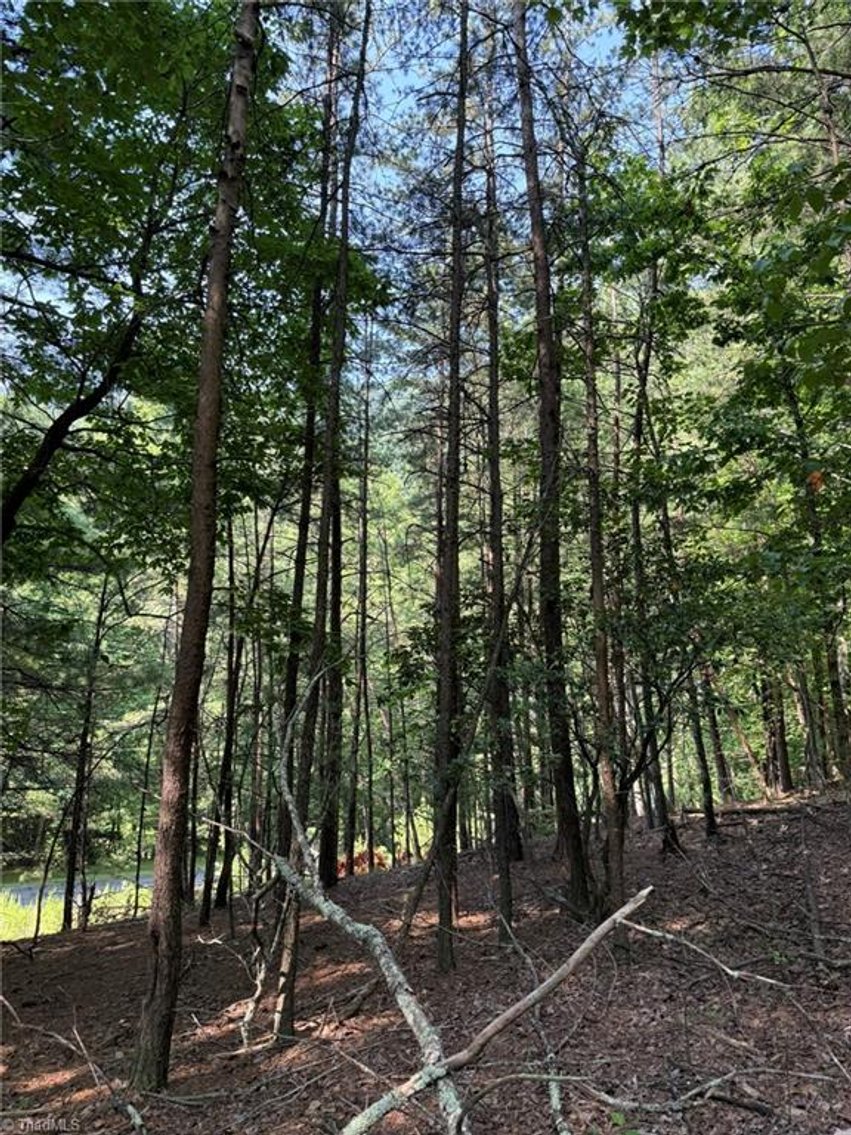 Image for Lot For Sale in Lowgap - Lot# 33 Jonathan Drive