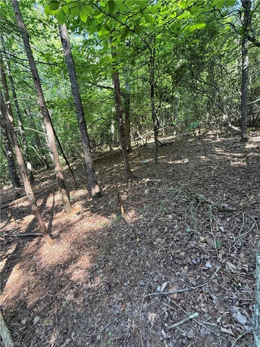 Image for Lot For Sale in Lowgap - Lot# 33 Jonathan Drive