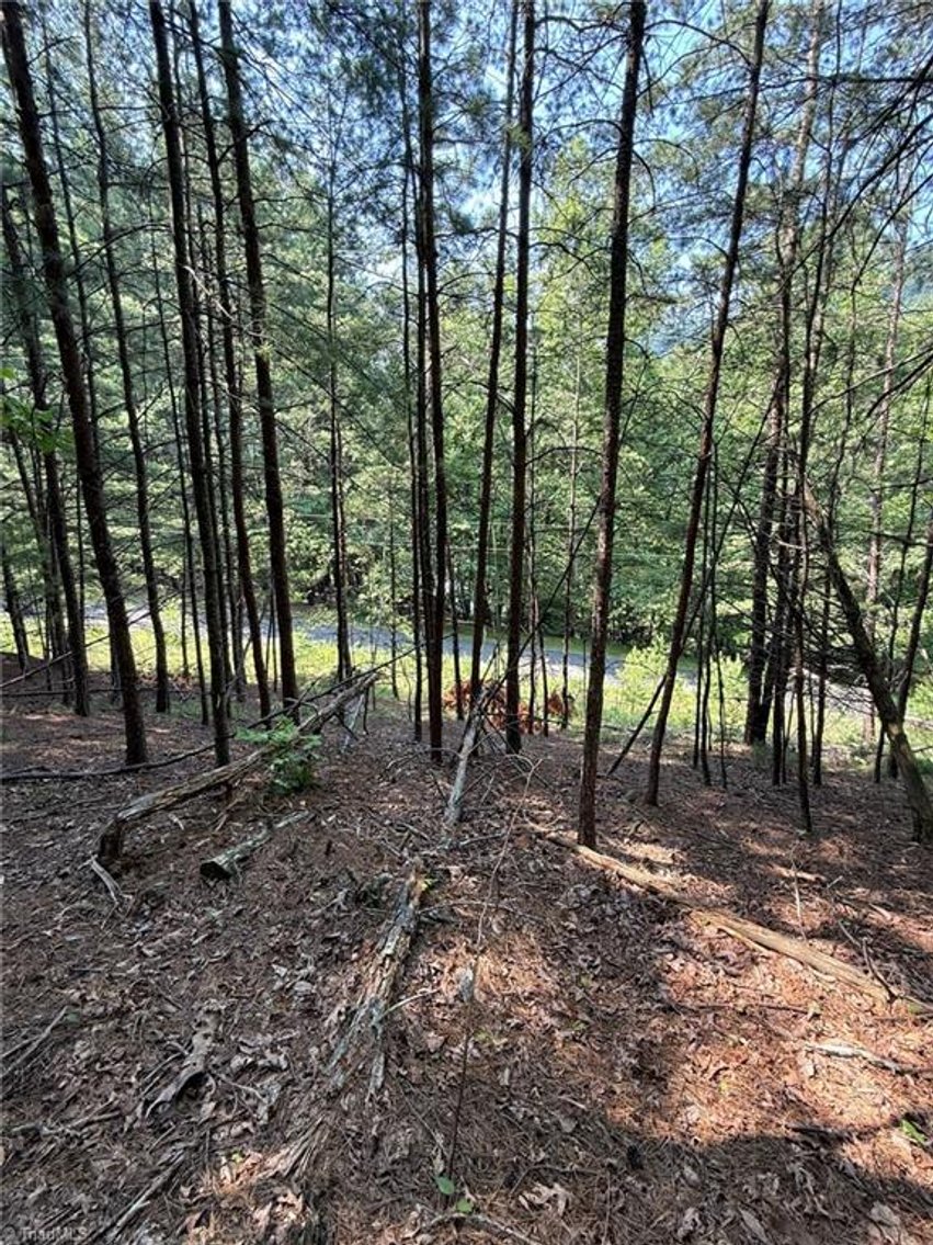 Image for Lot For Sale in Lowgap - Lot# 33 Jonathan Drive