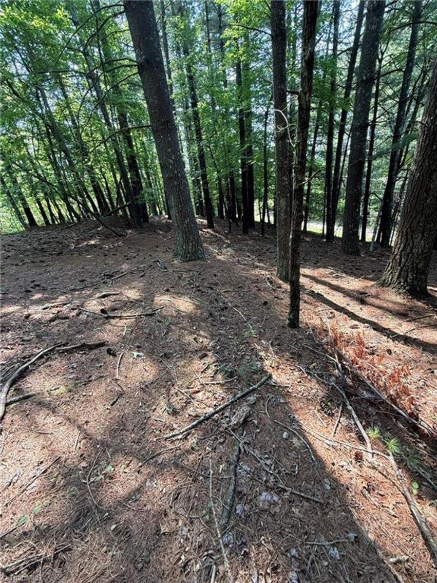 Image for Lot For Sale in Lowgap - Lot# 33 Jonathan Drive