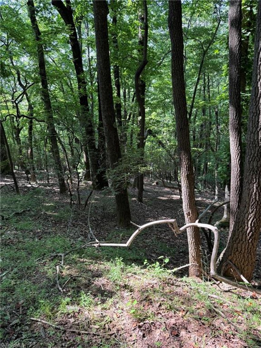 Image for Lot For Sale in Lowgap - Lot# 33 Jonathan Drive