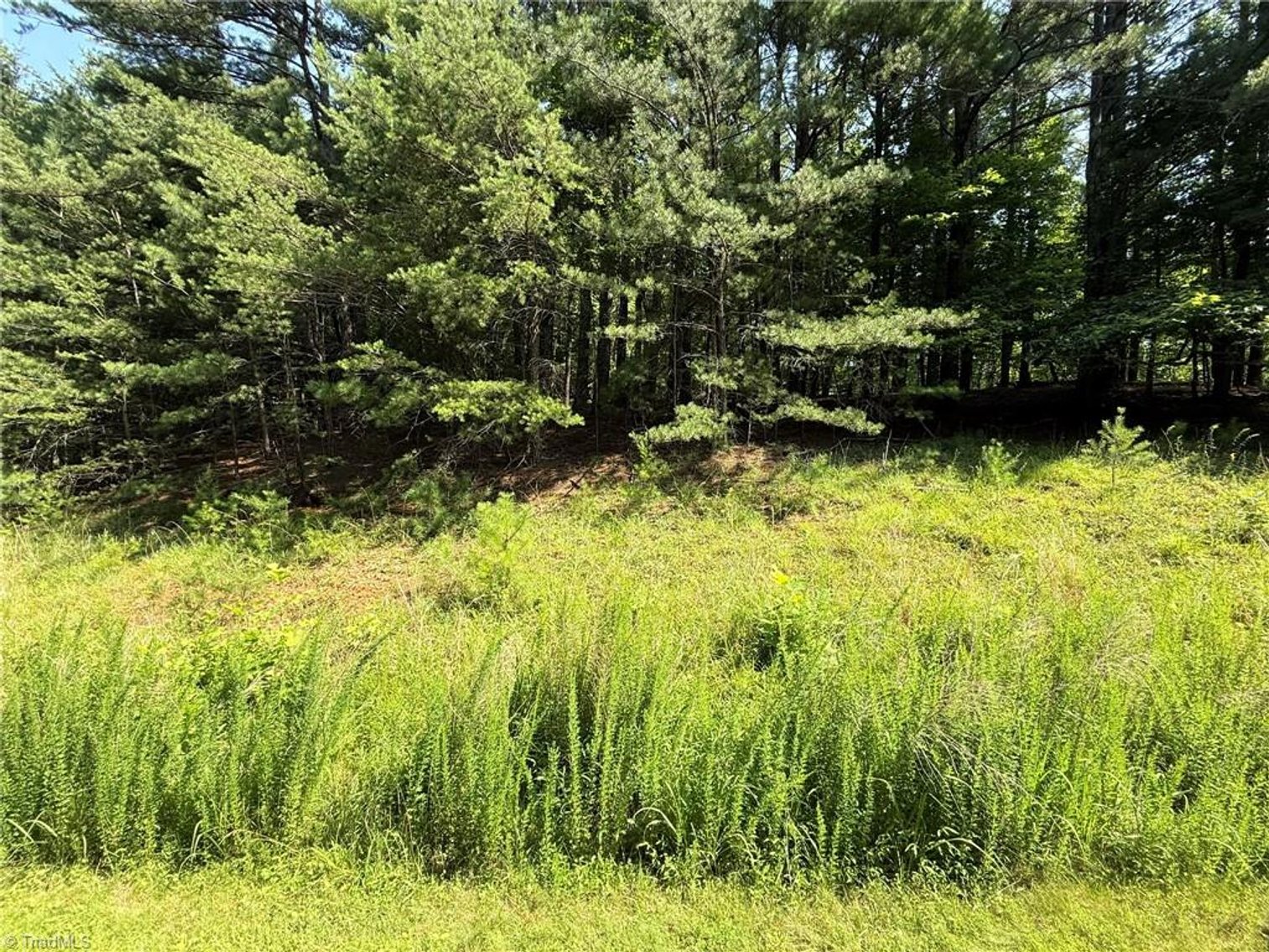 Image for Lot For Sale in Lowgap - Lot# 33 Jonathan Drive