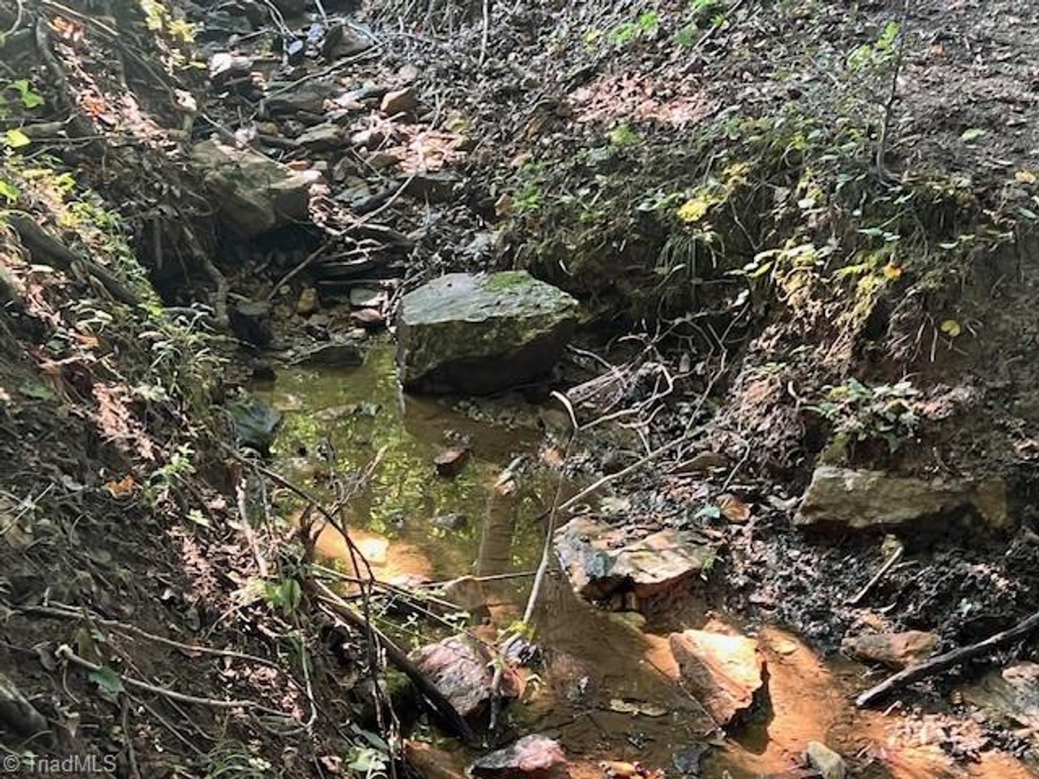 Image for Land For Sale in Mount Airy - 000 Potts Road