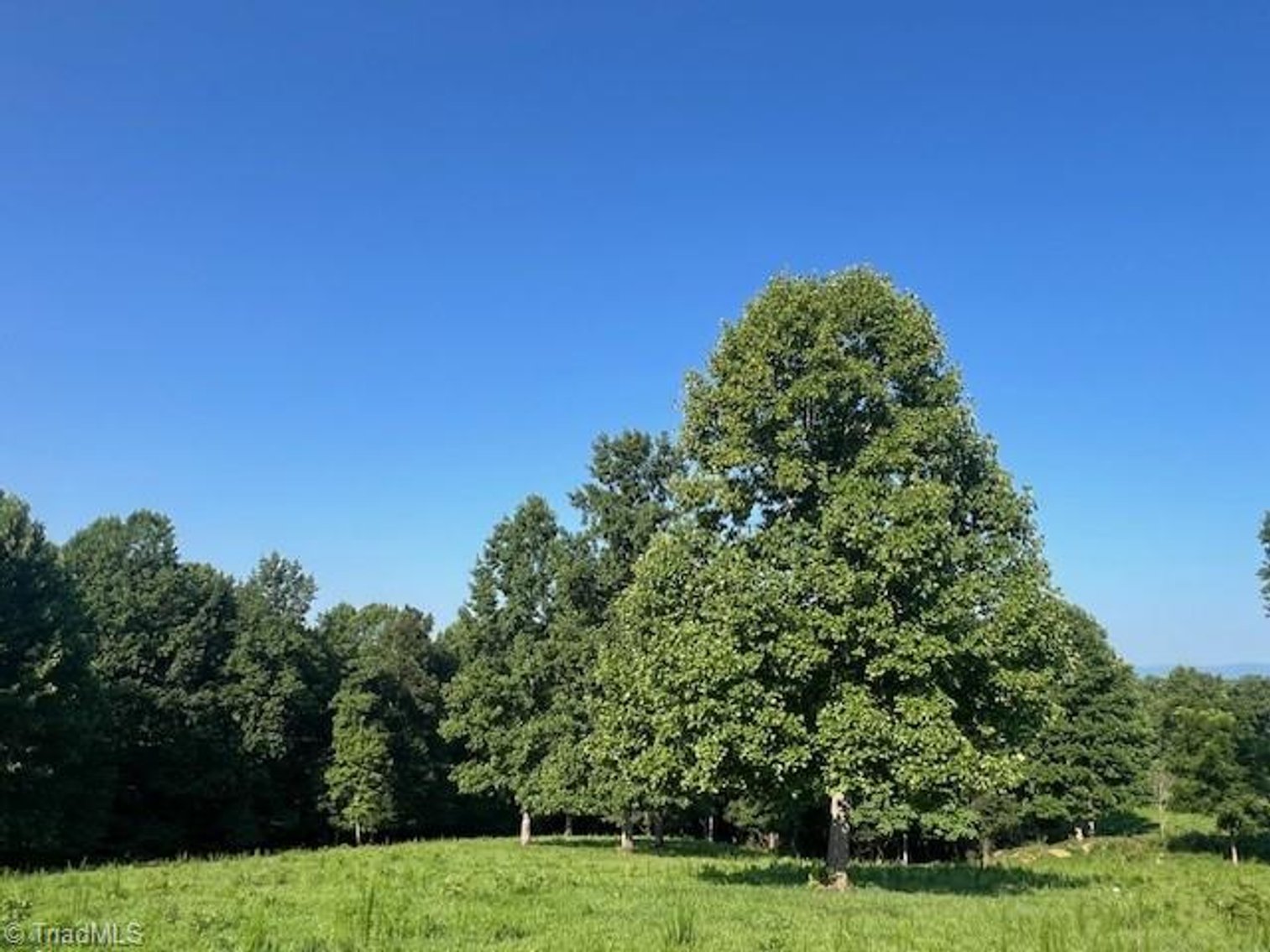 Image for Land For Sale in Mount Airy - 000 Potts Road